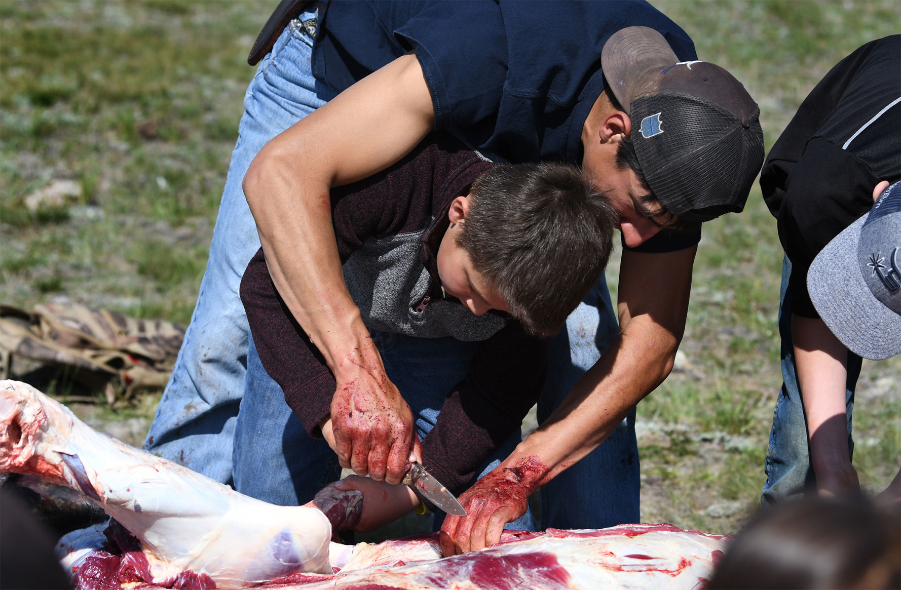 061619 blackfeet buffalo3 kw.jpg
